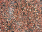 Ʒ-Madhusudan Marbles